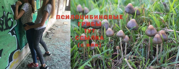спиды Аркадак