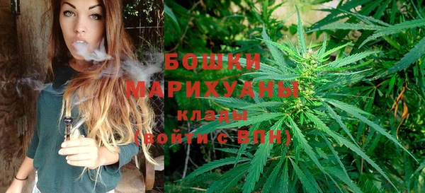 спиды Аркадак